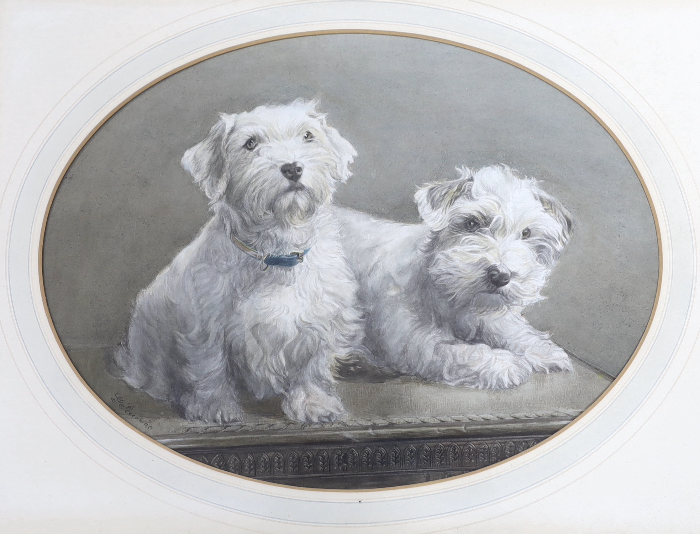 G. Seccombe, 20th century oval watercolour, Study of two terriers, signed, 33 x 43cm